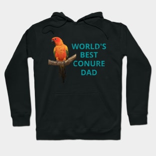 Conure owners and dads Hoodie